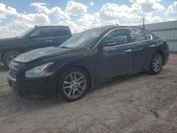  Salvage Nissan Maxima