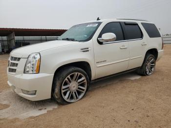  Salvage Cadillac Escalade