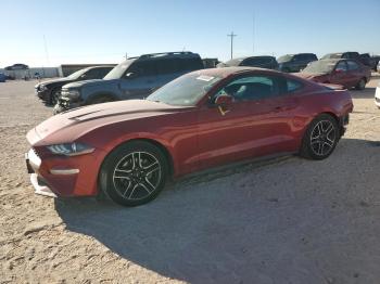  Salvage Ford Mustang