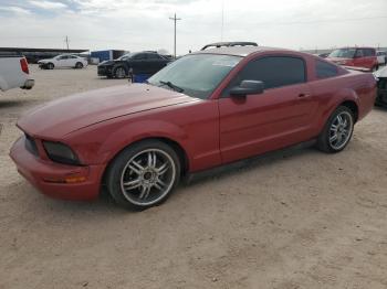  Salvage Ford Mustang