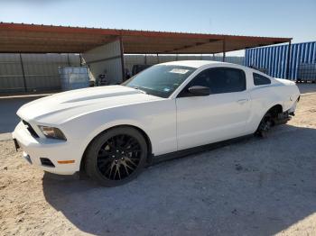  Salvage Ford Mustang