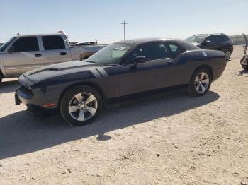  Salvage Dodge Challenger