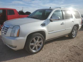  Salvage Cadillac Escalade