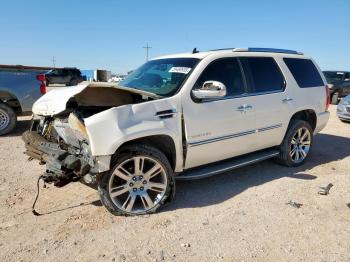  Salvage Cadillac Escalade