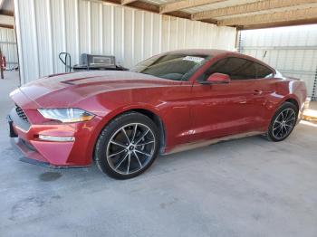  Salvage Ford Mustang