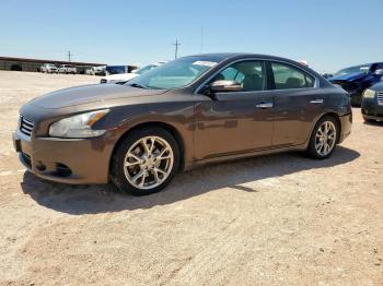  Salvage Nissan Maxima