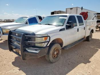  Salvage Ford F-250