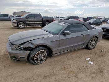  Salvage Ford Mustang