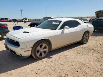  Salvage Dodge Challenger
