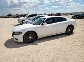  Salvage Dodge Charger