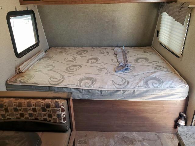 Hare Pioneer Image 3