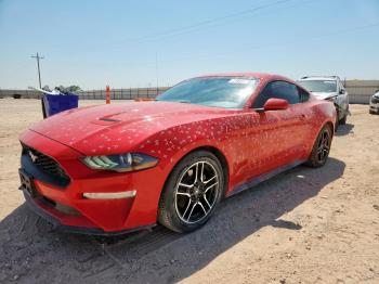  Salvage Ford Mustang