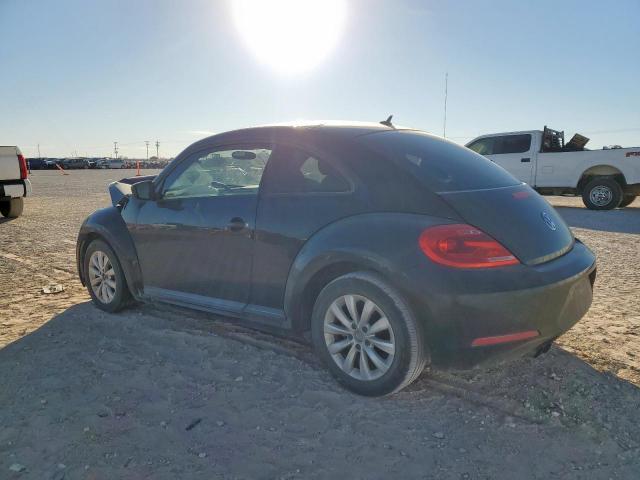 Volkswagen Beetle Image 3