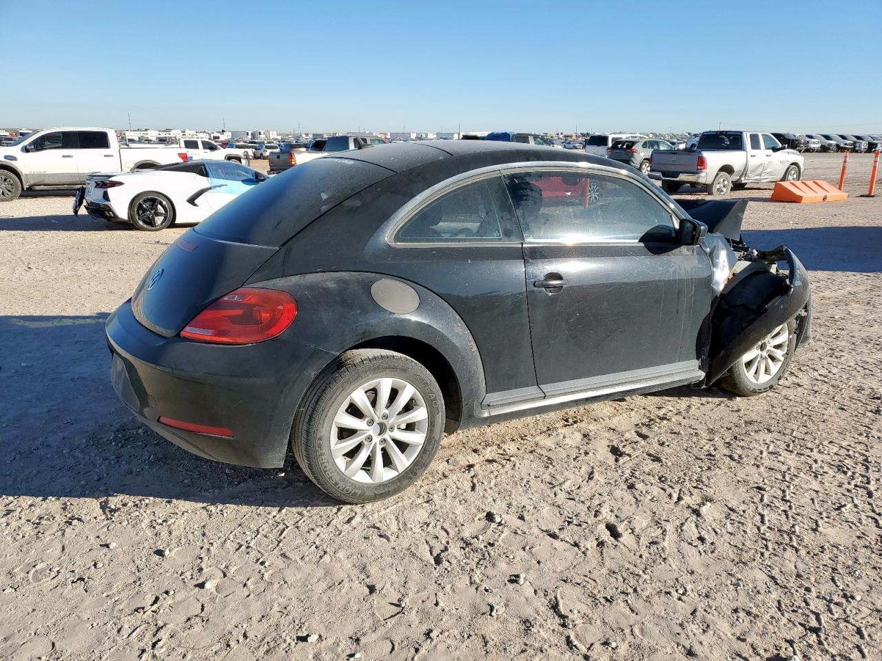 Volkswagen Beetle Image 11