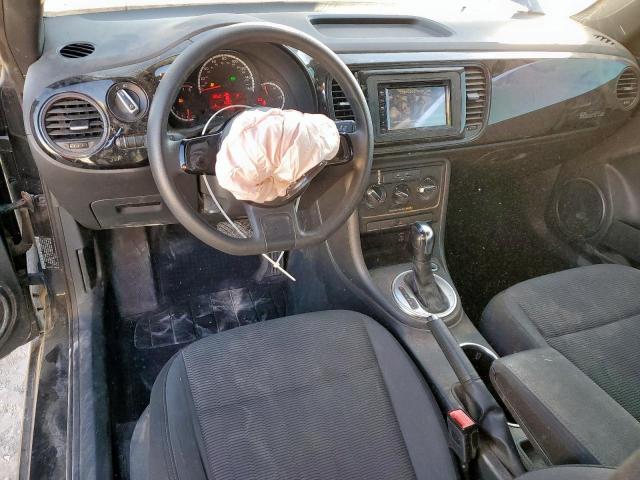 Volkswagen Beetle Image 12