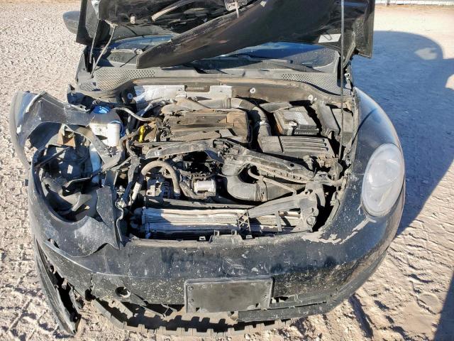 Volkswagen Beetle Image 8