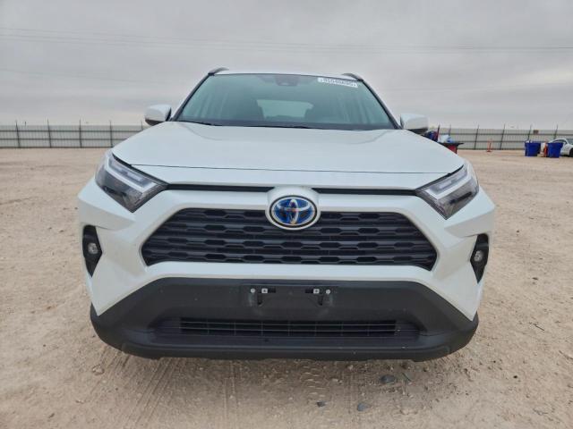 Toyota RAV4 Xle Premium Image 4