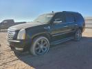 Cadillac Escalade Luxury Image 1